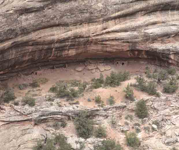 Horsecollar Ruin