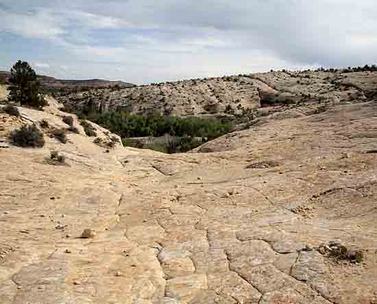 Butler Wash Ruin