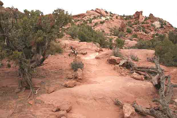Upheaval Canyon Trail