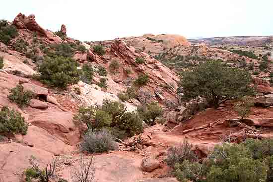 Upheaval Canyon Trail