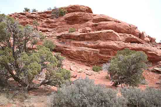 Upheaval Canyon Trail