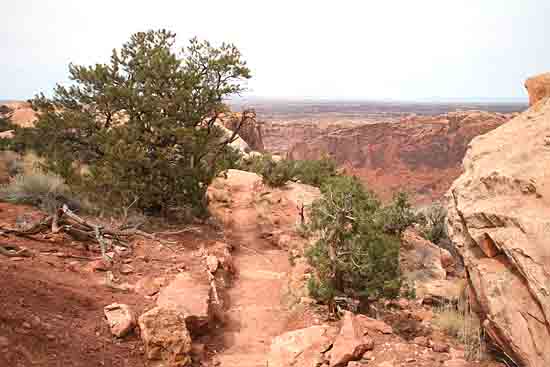 Upheaval Canyon Trail