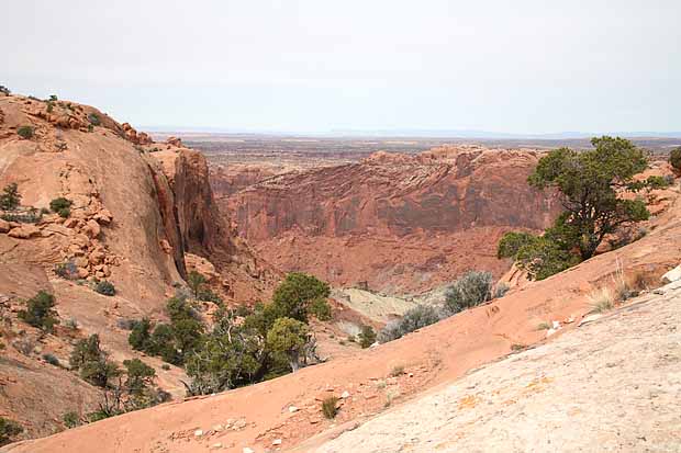 Upheaval Canyon Trail