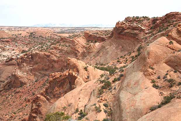 Upheaval Canyon Trail