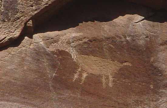 Capitol Reef National Park - Petroglyphs