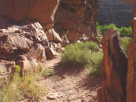 Hickman Bridge Trail