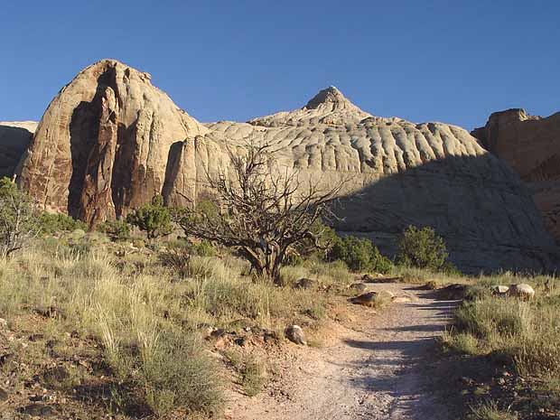 Hickman Bridge Trail