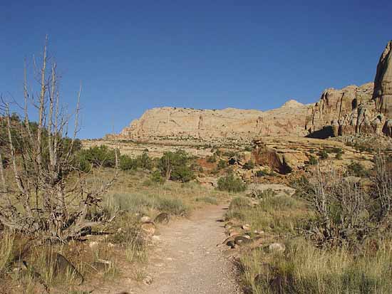 Hickman Bridge Trail