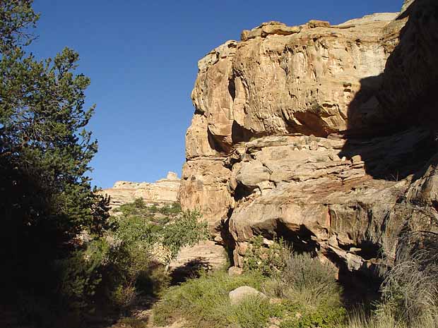 Hickman Bridge Trail