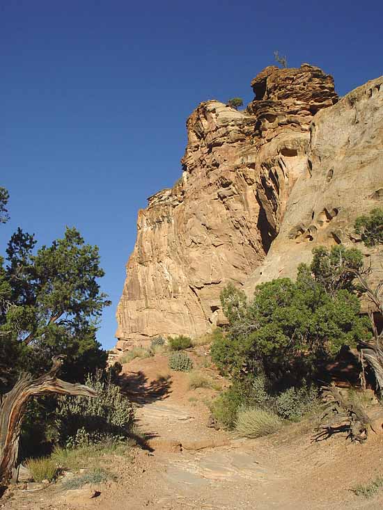 Hickman Bridge Trail