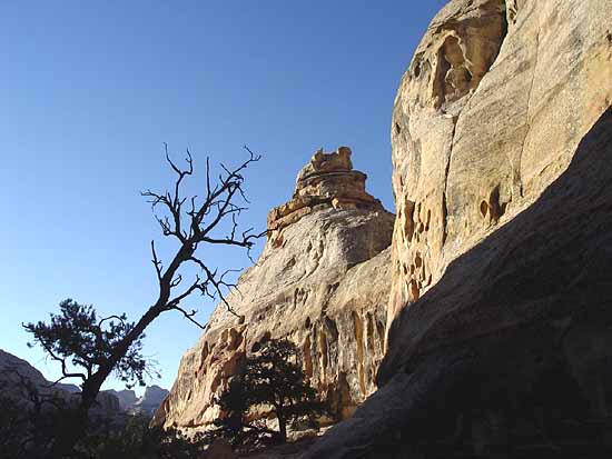 Hickman Bridge Trail