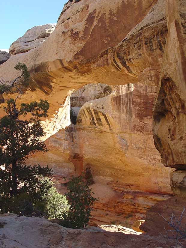 Hickman Bridge Trail