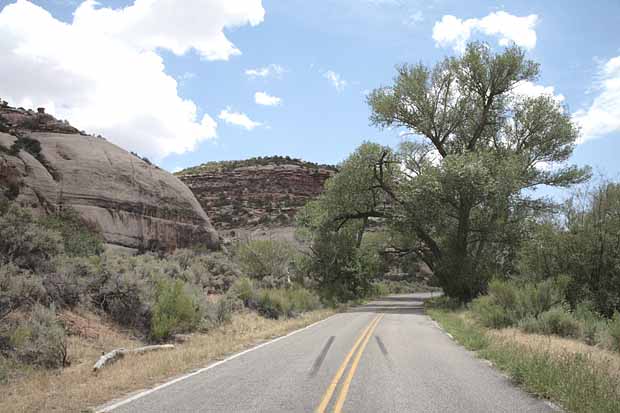 Newspaper Rock to Elephant Hill