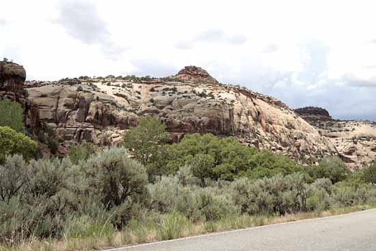 Newspaper Rock to Elephant Hill