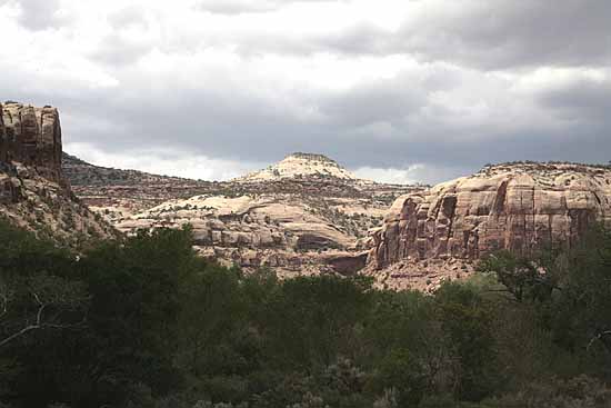 Newspaper Rock to Elephant Hill