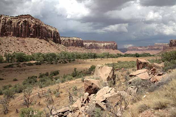 Newspaper Rock to Elephant Hill