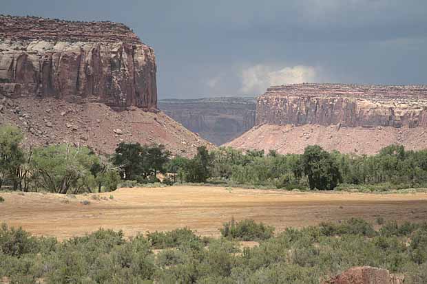 Newspaper Rock to Elephant Hill