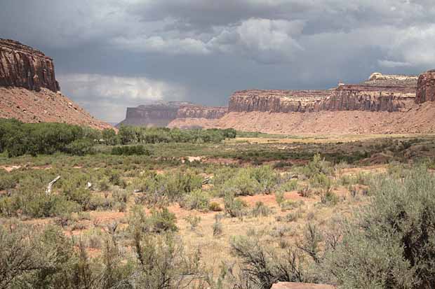 Newspaper Rock to Elephant Hill