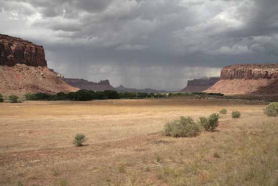 Newspaper Rock to Elephant Hill