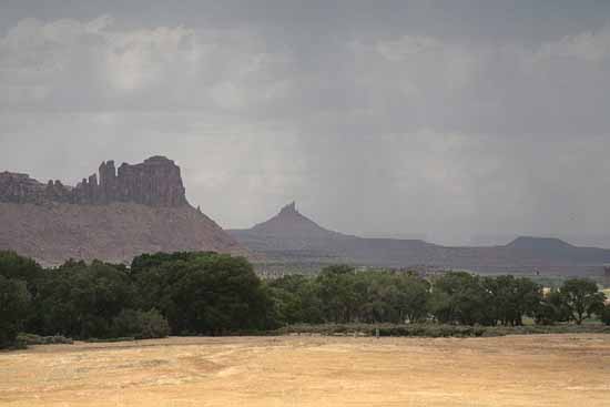 Newspaper Rock to Elephant Hill