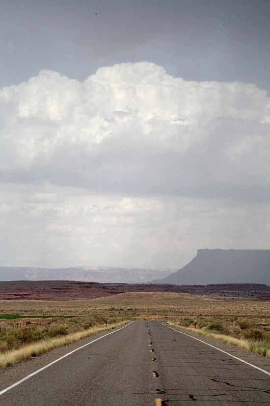 Newspaper Rock to Elephant Hill