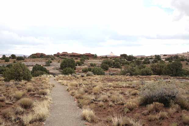 Roadside Ruin