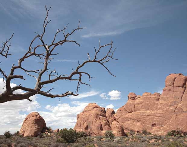 Skyline Arch