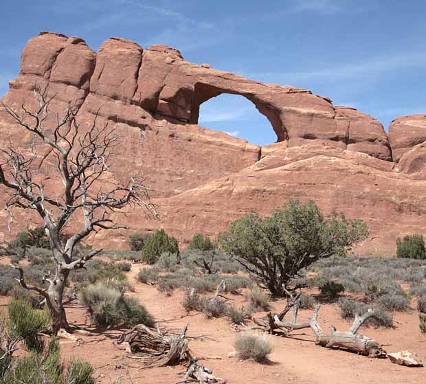 Skyline Arch