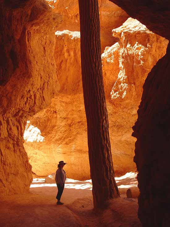 Bryce Canyon National Park