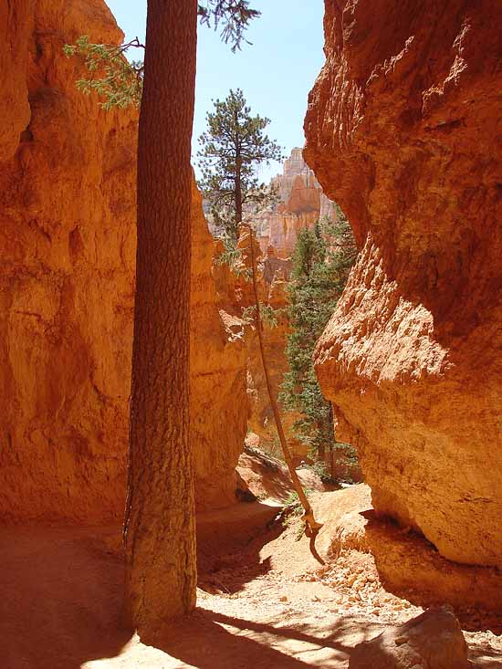 Bryce Canyon National Park