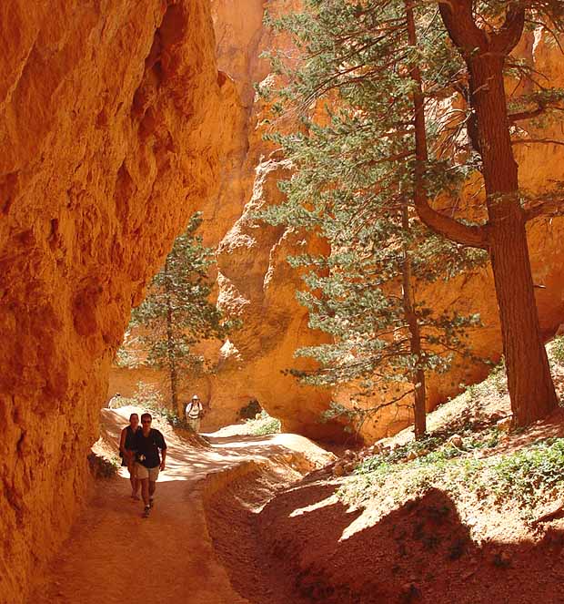 Bryce Canyon National Park