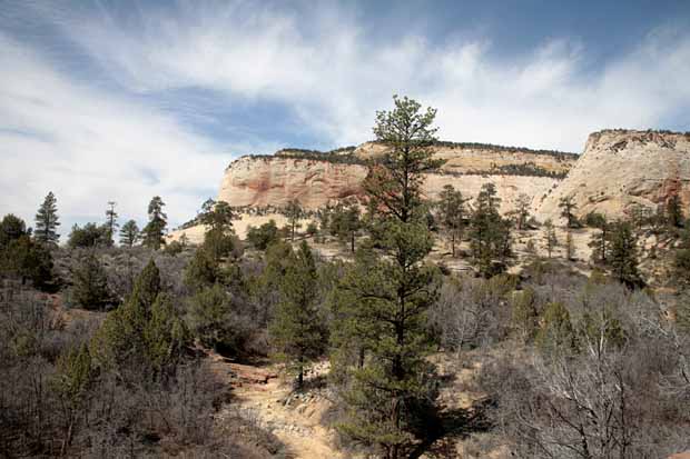 Eastern Entrance into Zion National Park