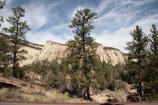 Eastern Entrance into Zion National Park