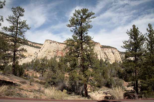 Eastern Entrance into Zion National Park