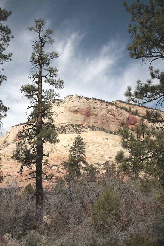 Eastern Entrance into Zion National Park