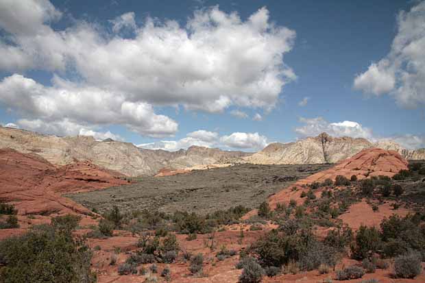 Snow Canyon State Park