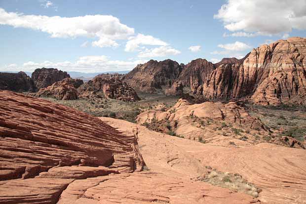 Petrified Dunes