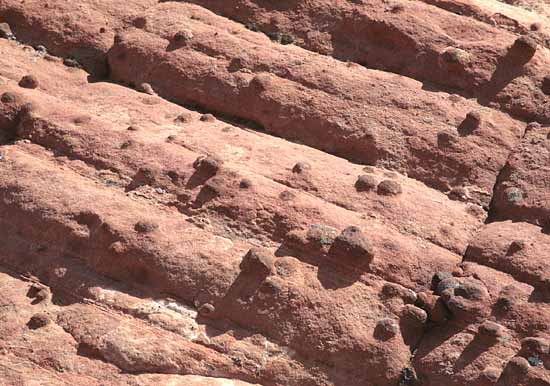 Petrified Dunes