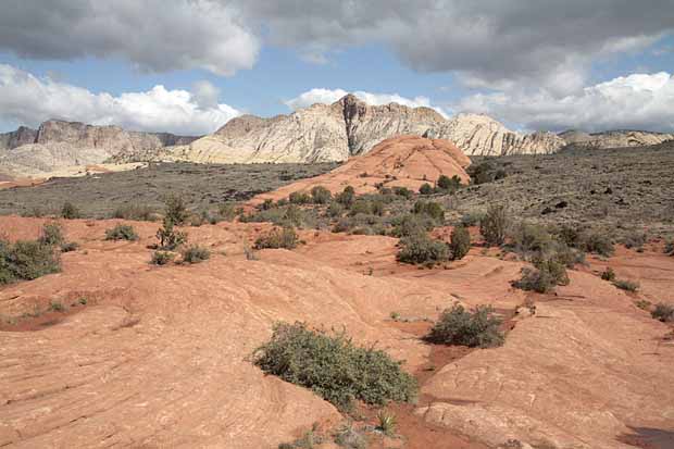 Petrified Dunes