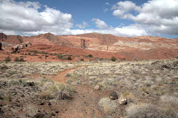 Petrified Dunes