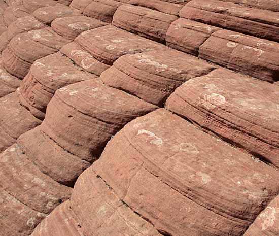 Petrified Dunes