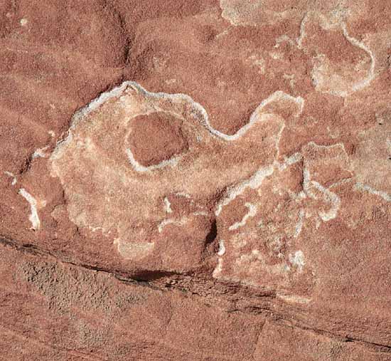 Petrified Dunes