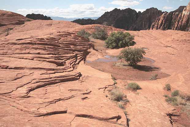 Petrified Dunes