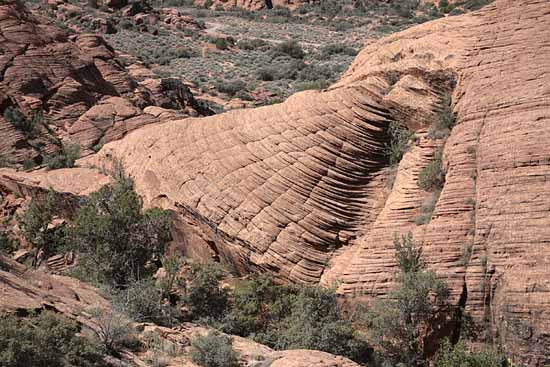 Petrified Dunes