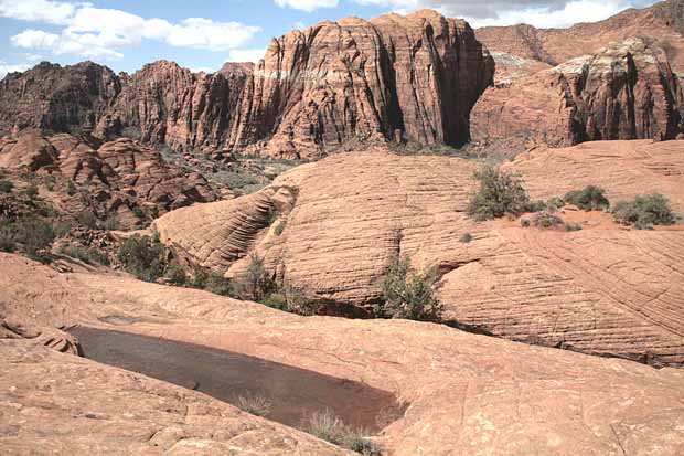 Petrified Dunes