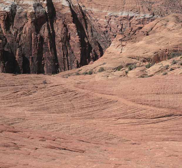Petrified Dunes