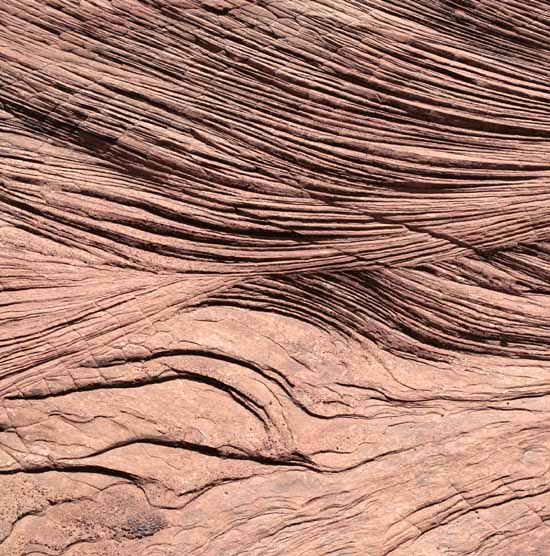 Petrified Dunes