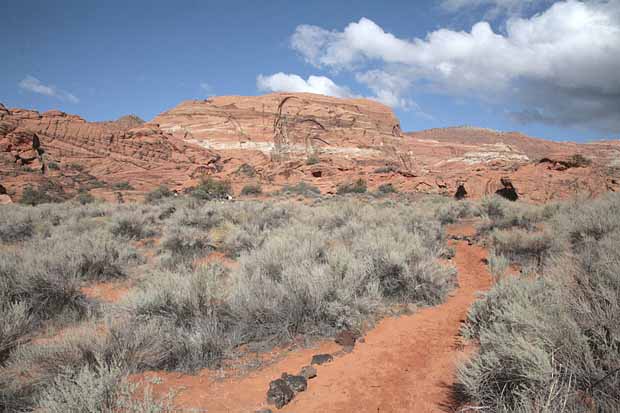 Hidden Pinyon Trail