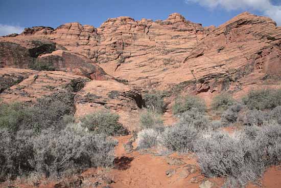 Hidden Pinyon Trail