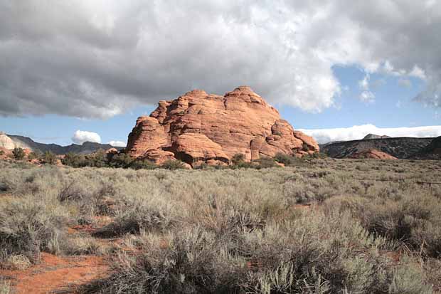 Hidden Pinyon Trail